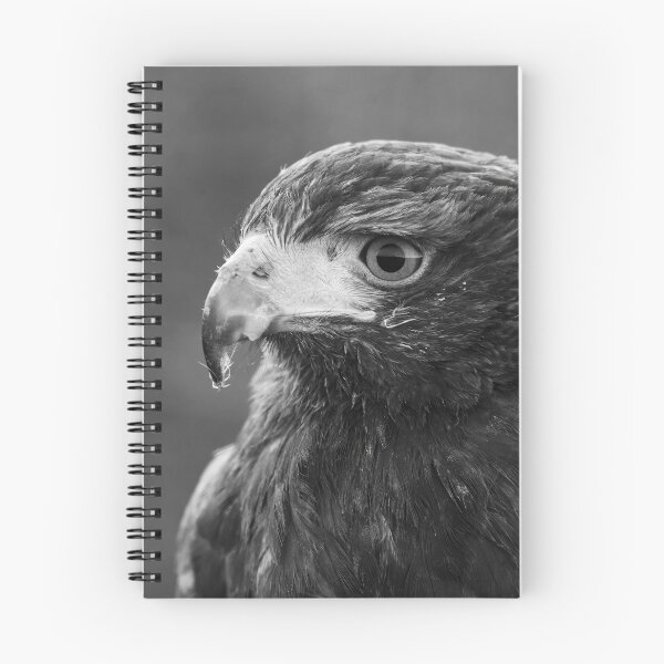 Item preview, Common Buzzard-Monochrome designed and sold by Ryan  Ten.