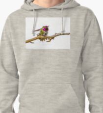 INTENSE Pullover Hoodie