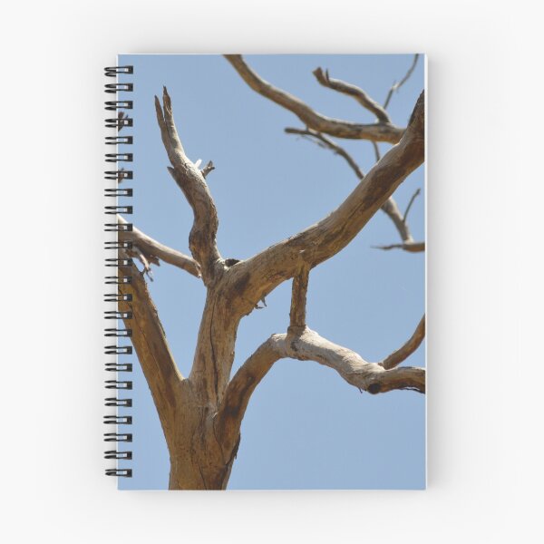 Item preview, Tree branches designed and sold by Zoe Wandin.