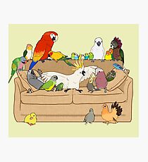 Birblr and Chill Photographic Print