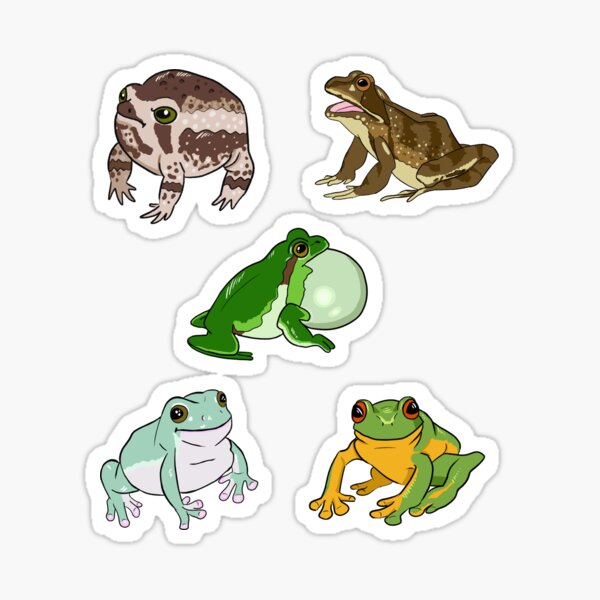 White's Tree Frog Sticker – Amphisbaena Exotics