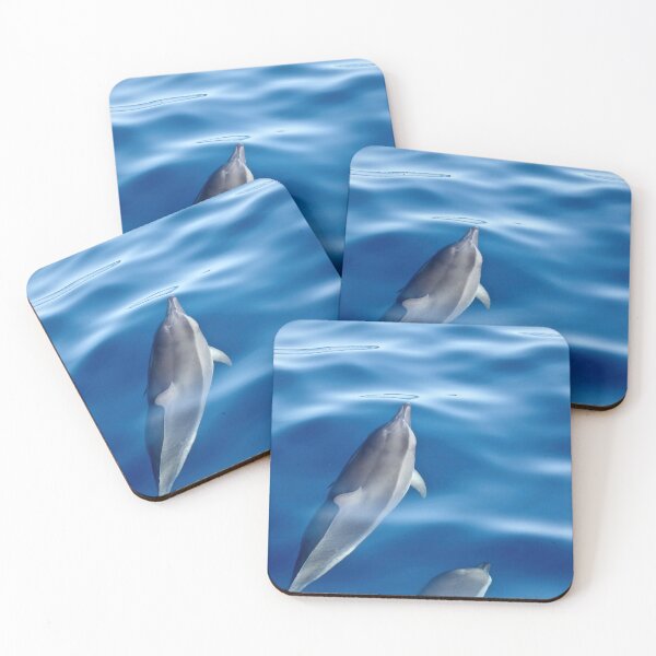 Item preview, Dolphins racing designed and sold by Laurence Bruneau.