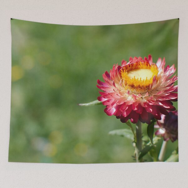 Item preview, Red paper daisy designed and sold by notjustamwac.