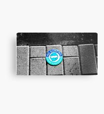 Swimming with the Fishes Metal Print