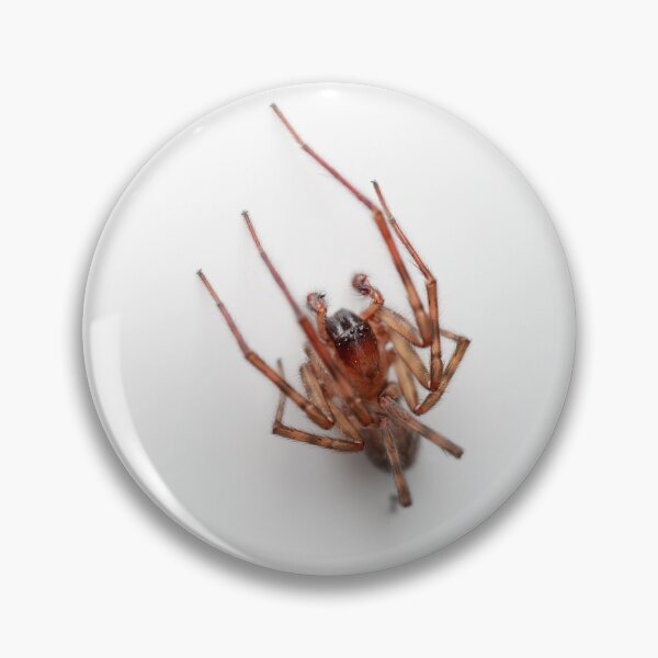 Item preview, Brown spider designed and sold by chanonry.