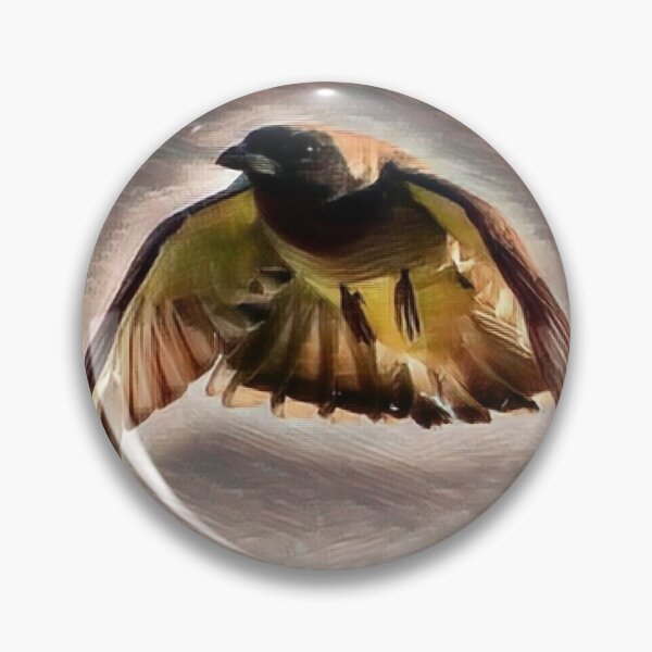 Item preview, Black-faced Cuckoo-Shrike Graphic designed and sold by Wanderingeagles.