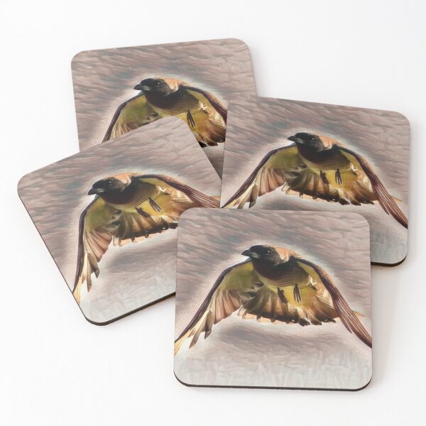 Item preview, Black-faced Cuckoo-Shrike Graphic designed and sold by Wanderingeagles.