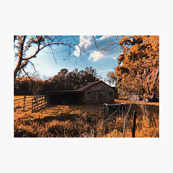 Abandoned Barn in Autumn Photographic Print