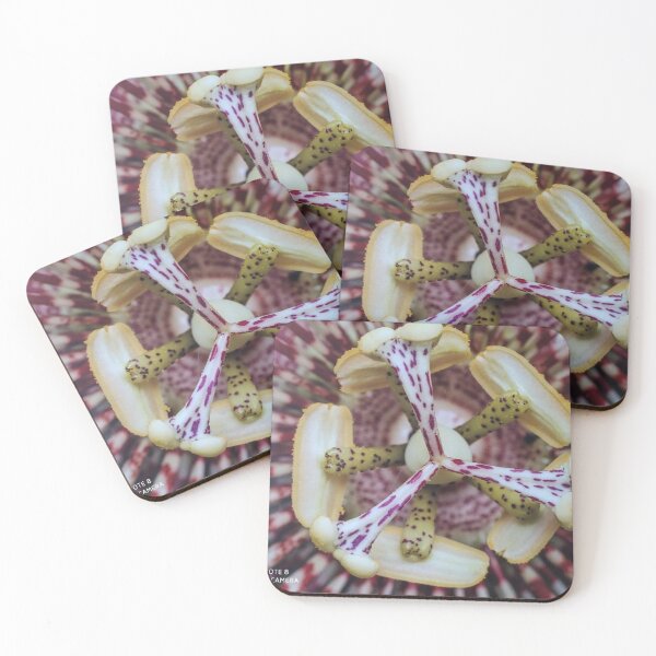 Item preview, flower designed and sold by Mariajose  Rojo.