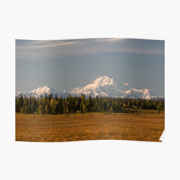 Denali ~ Raw, Wild and Unpredictable Poster