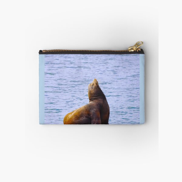 Item preview, Sunbathin' Seal  designed and sold by CM-PD.
