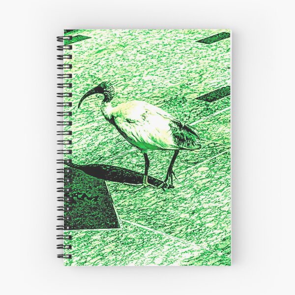 Item preview, Bin Chicken designed and sold by LukeRosenberg.
