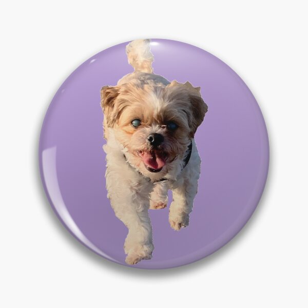 Item preview, Shih Tzu Bichon designed and sold by Kaydileigh.
