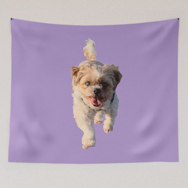 Item preview, Shih Tzu Bichon designed and sold by Kaydileigh.