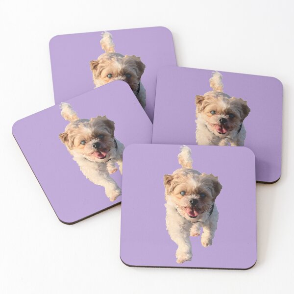 Item preview, Shih Tzu Bichon designed and sold by Kaydileigh.
