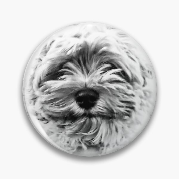 Artikelvorschau, Cockapoo-dle-doo entworfen und verkauft von tobyjrobinson.