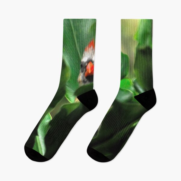 Item preview, Hello designed and sold by michaelasamples.