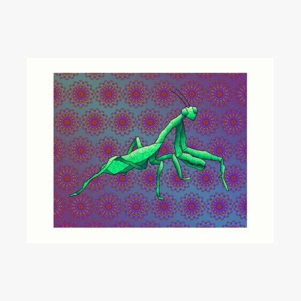 Praying Mantis Art Print