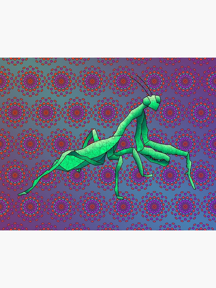 Praying Mantis by dustygoods