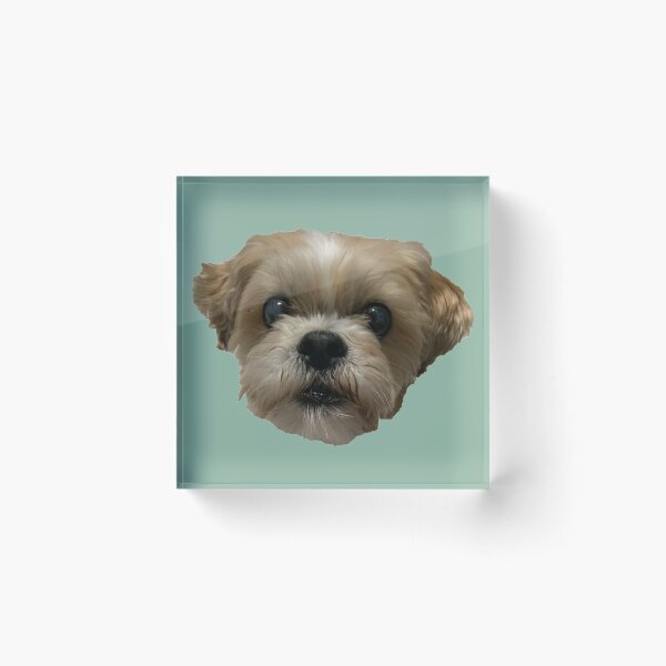 Item preview, Shih Tzu Bichon #2 designed and sold by Kaydileigh.