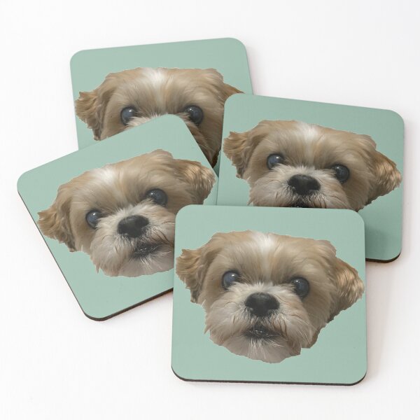 Item preview, Shih Tzu Bichon #2 designed and sold by Kaydileigh.