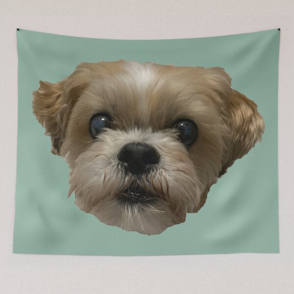 Item preview, Shih Tzu Bichon #2 designed and sold by Kaydileigh.