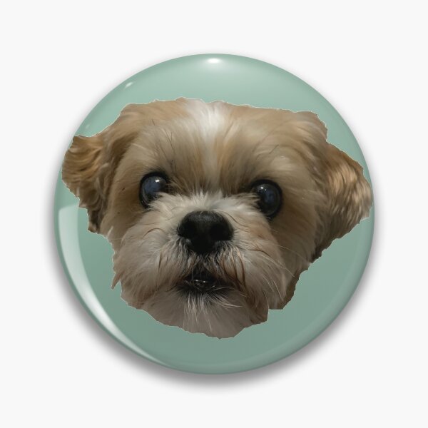 Item preview, Shih Tzu Bichon #2 designed and sold by Kaydileigh.