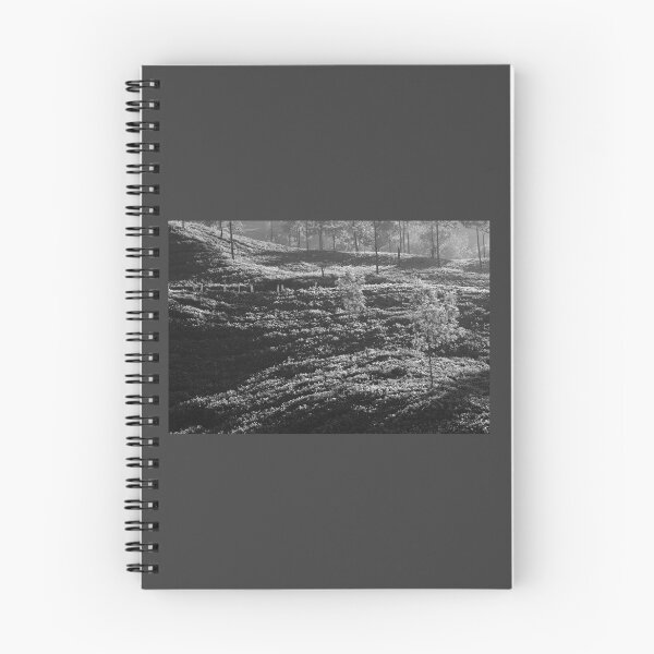 Item preview, SKN 6773 Light and Shadow.  B/W designed and sold by Sunil Kapadia.