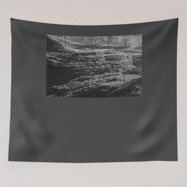 Item preview, SKN 6773 Light and Shadow.  B/W designed and sold by Sunil Kapadia.
