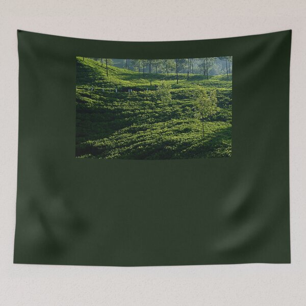 Item preview, SKN 6773 Light and Shadow. Color designed and sold by Sunil Kapadia.