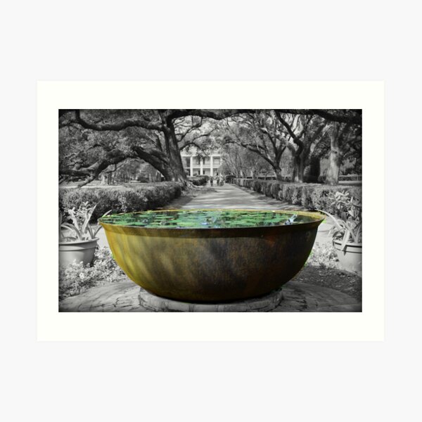 "Oak Alley Plantation Sugar Cane Kettle" Art Print for Sale by anitahiltz Redbubble