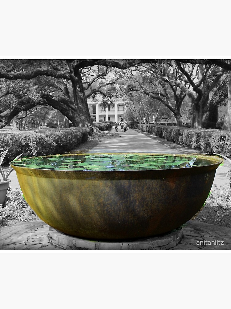 "Oak Alley Plantation Sugar Cane Kettle" Travel Coffee Mug for Sale by anitahiltz Redbubble