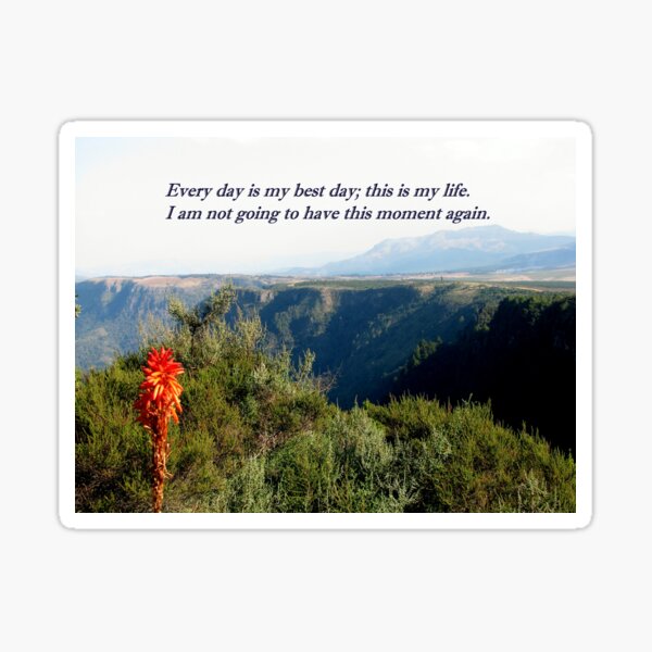 Beauty in nature Sticker