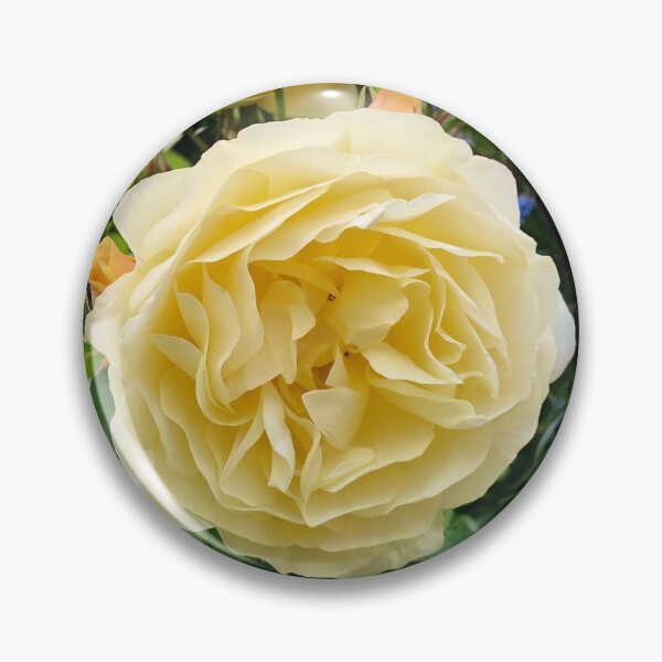 Item preview, Flor de jardín amarilla Victoria Australia designed and sold by HolidayTees.