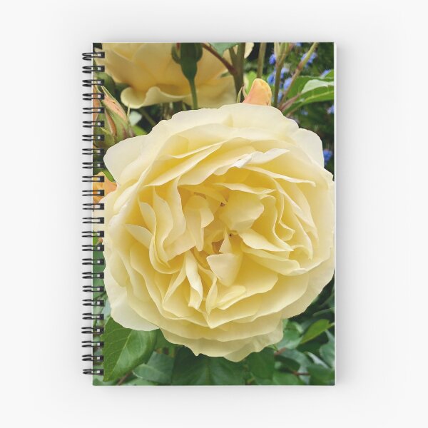 Item preview, Yellow Garden flower Victoria Australia designed and sold by HolidayTees.