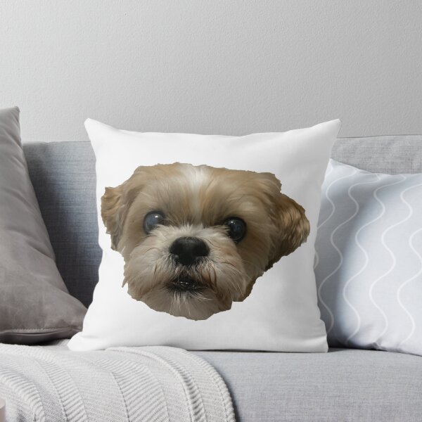 Item preview, Shih Tzu Bichon #2 designed and sold by Kaydileigh.