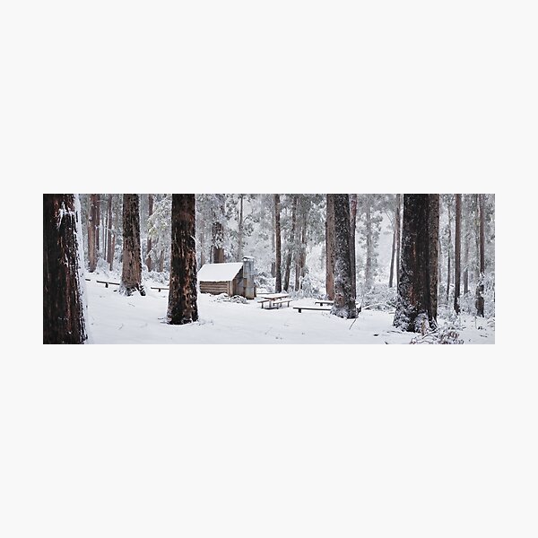 Photographic Print