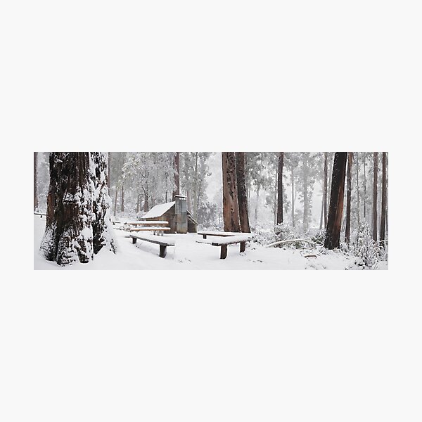 Item preview, Tomahawk Hut, Mansfield, Victoria, Australia designed and sold by Michael Boniwell.