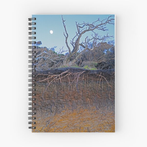 Item preview, Night Coming designed and sold by Harry Oldmeadow.