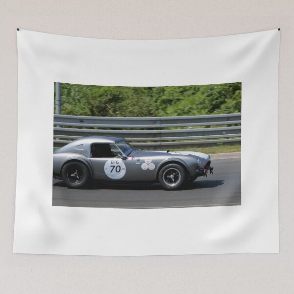 Artikelvorschau, Shelby Cobra 289 Sportwagen Le Mans Classic entworfen und verkauft von AndyEvansPhotos.