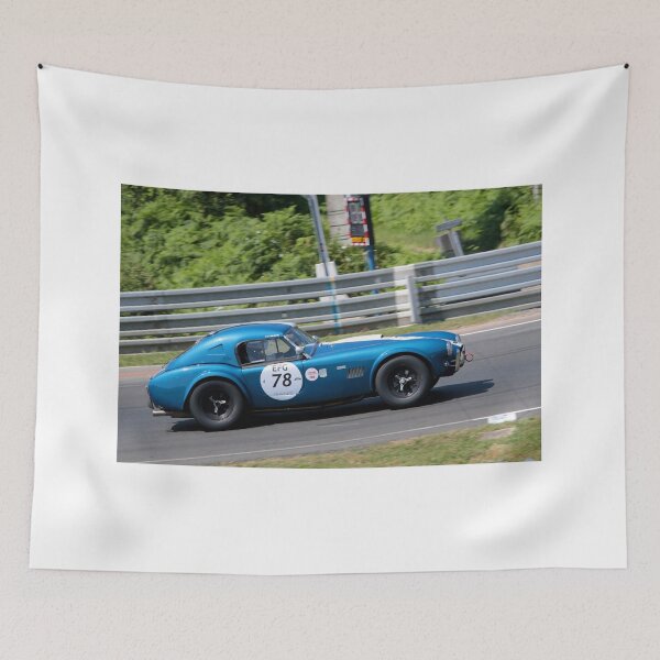 Artikelvorschau, Shelby Cobra 289 Sportwagen Le Mans Classic entworfen und verkauft von AndyEvansPhotos.
