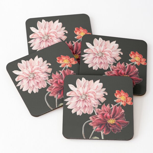 Item preview, Dahlias,coreopsideae,asteroideae,helianthodae, compositae designed and sold by domdjs4239.