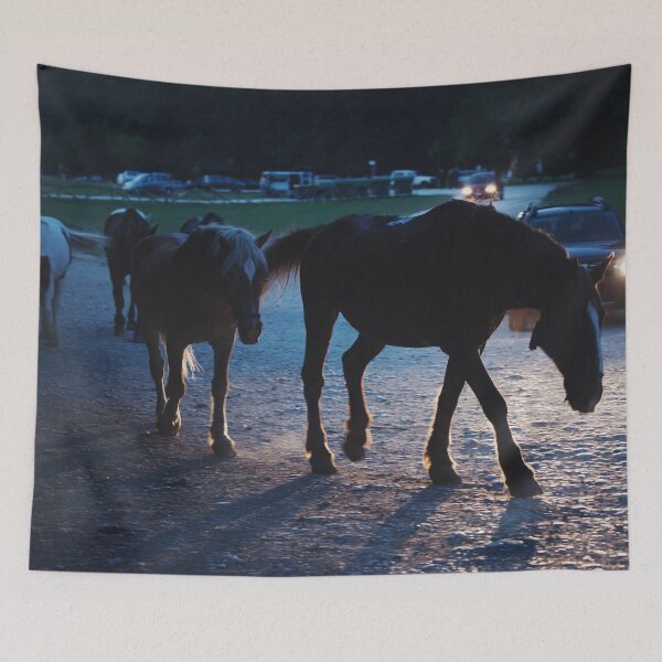 Item preview, Light behind horses designed and sold by Salvatore Russolillo.