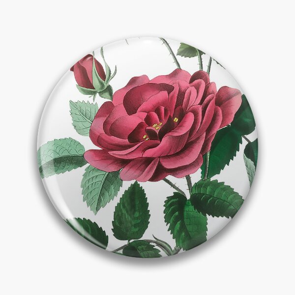 Item preview, Rosa Gallica-French Rose, Pierre-Joseph Redouté designed and sold by domdjs4239.