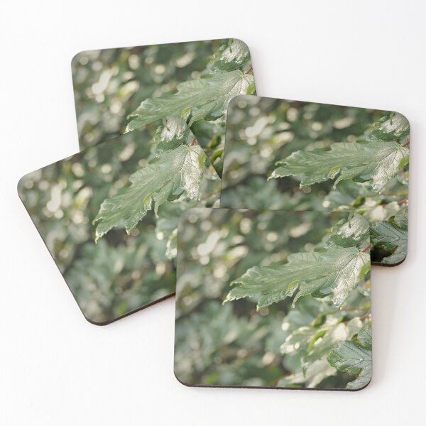 Item preview, Sunshine on Wet Leaves designed and sold by Ms-Bexy.