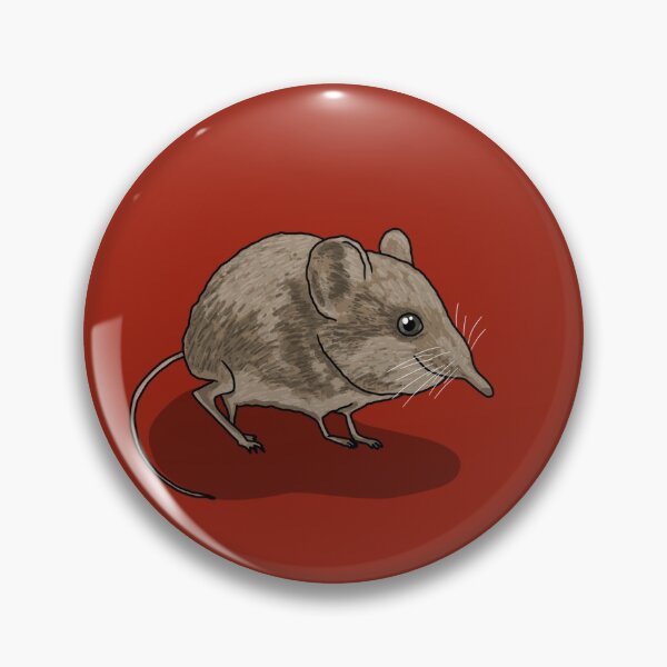 Item preview, Elephant shrew (Macroscelides proboscideus) designed and sold by Pongidae.
