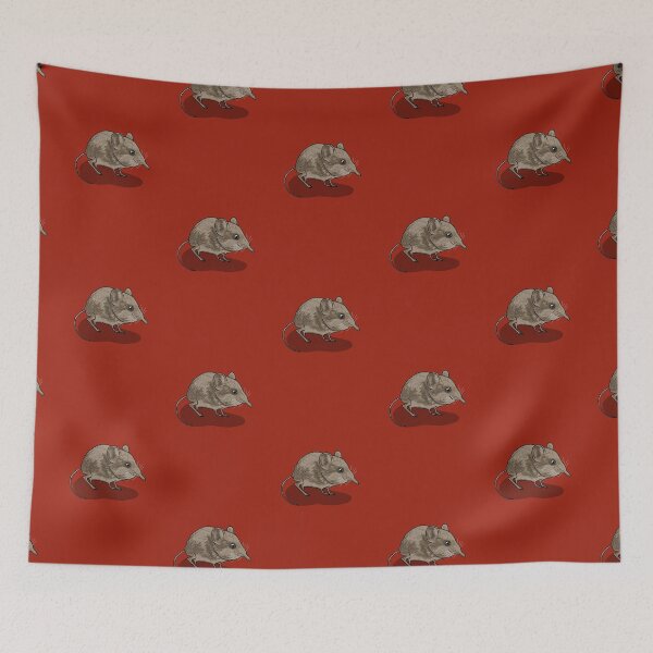 Item preview, Elephant shrew (Macroscelides proboscideus) designed and sold by Pongidae.