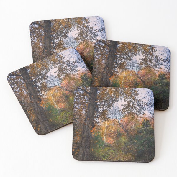 Item preview, My Favorite Season designed and sold by John Rivera.