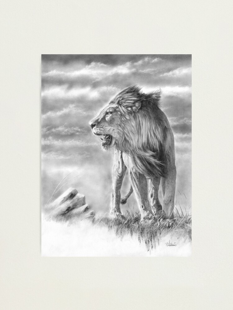 Tiger Wall Art Pencil Sketch 2 Pack 