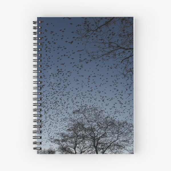 Item preview, Birds  Sturnidae designed and sold by ienemien.